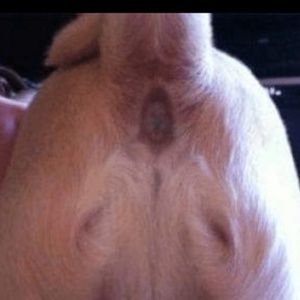 Meet your Posher, Keith